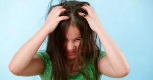 lice removal Raleigh, NC